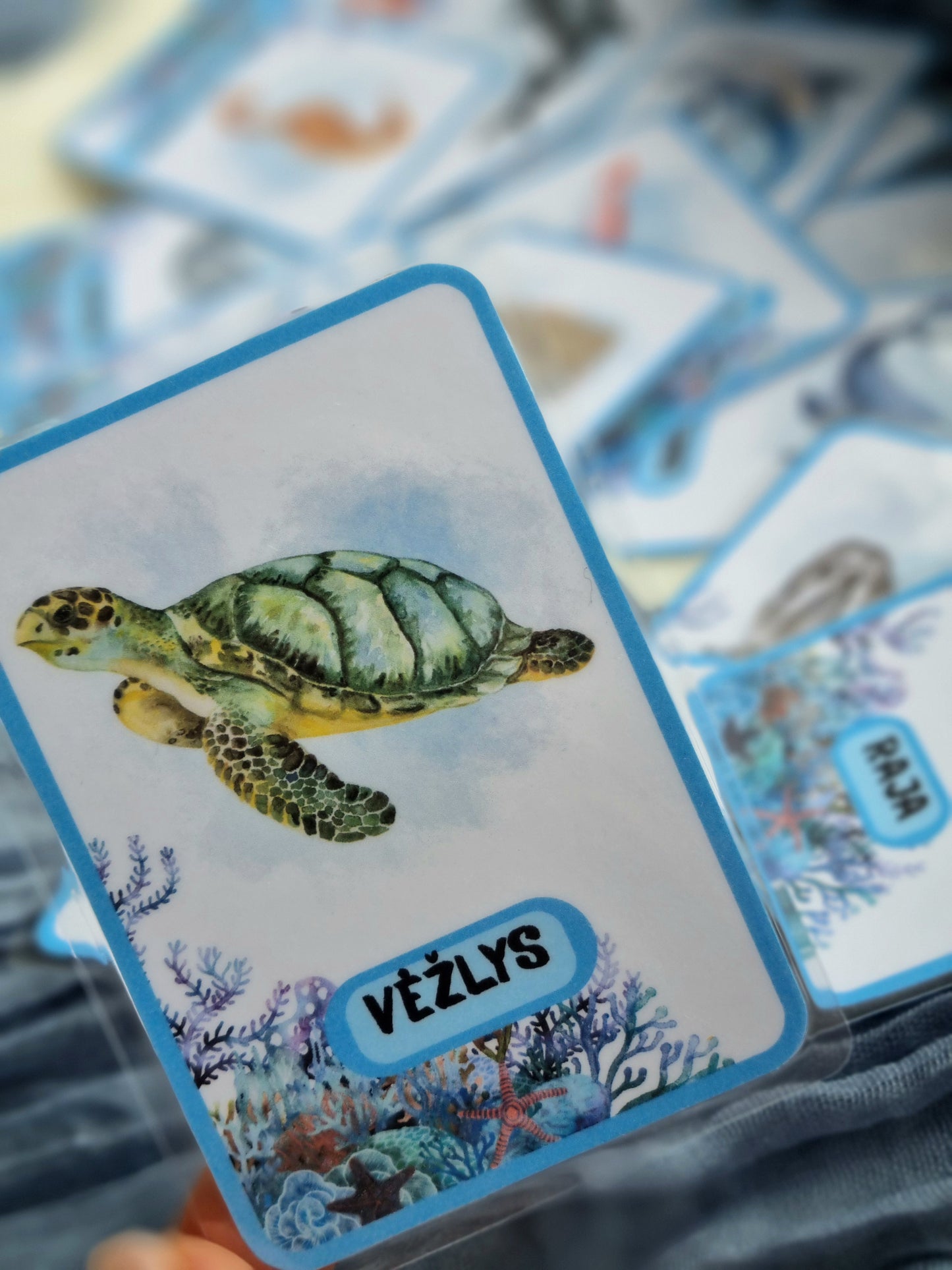 Jūros gyvūnų kortelės