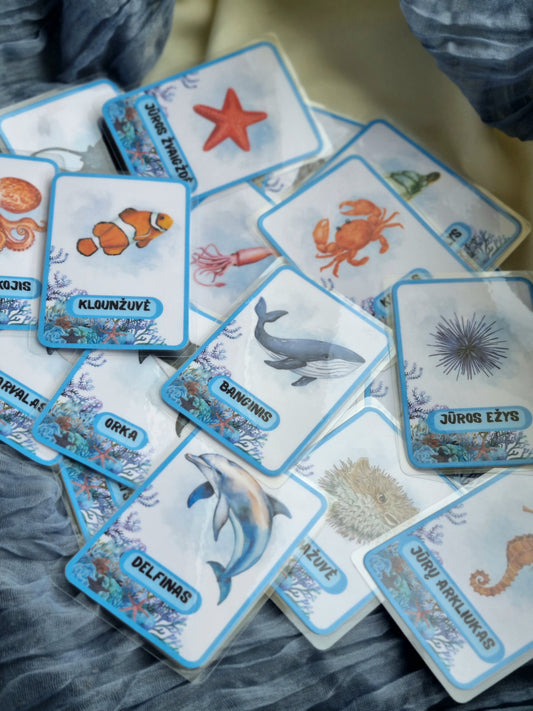 Jūros gyvūnų kortelės