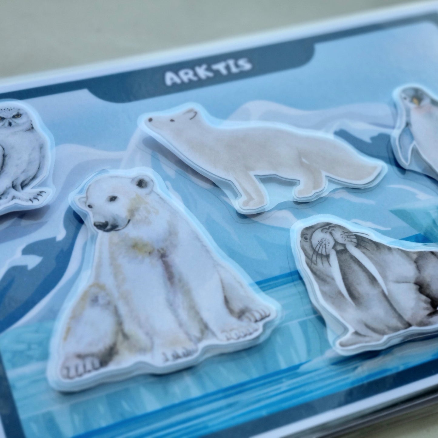 Pasaulio gyvūnų knygelė