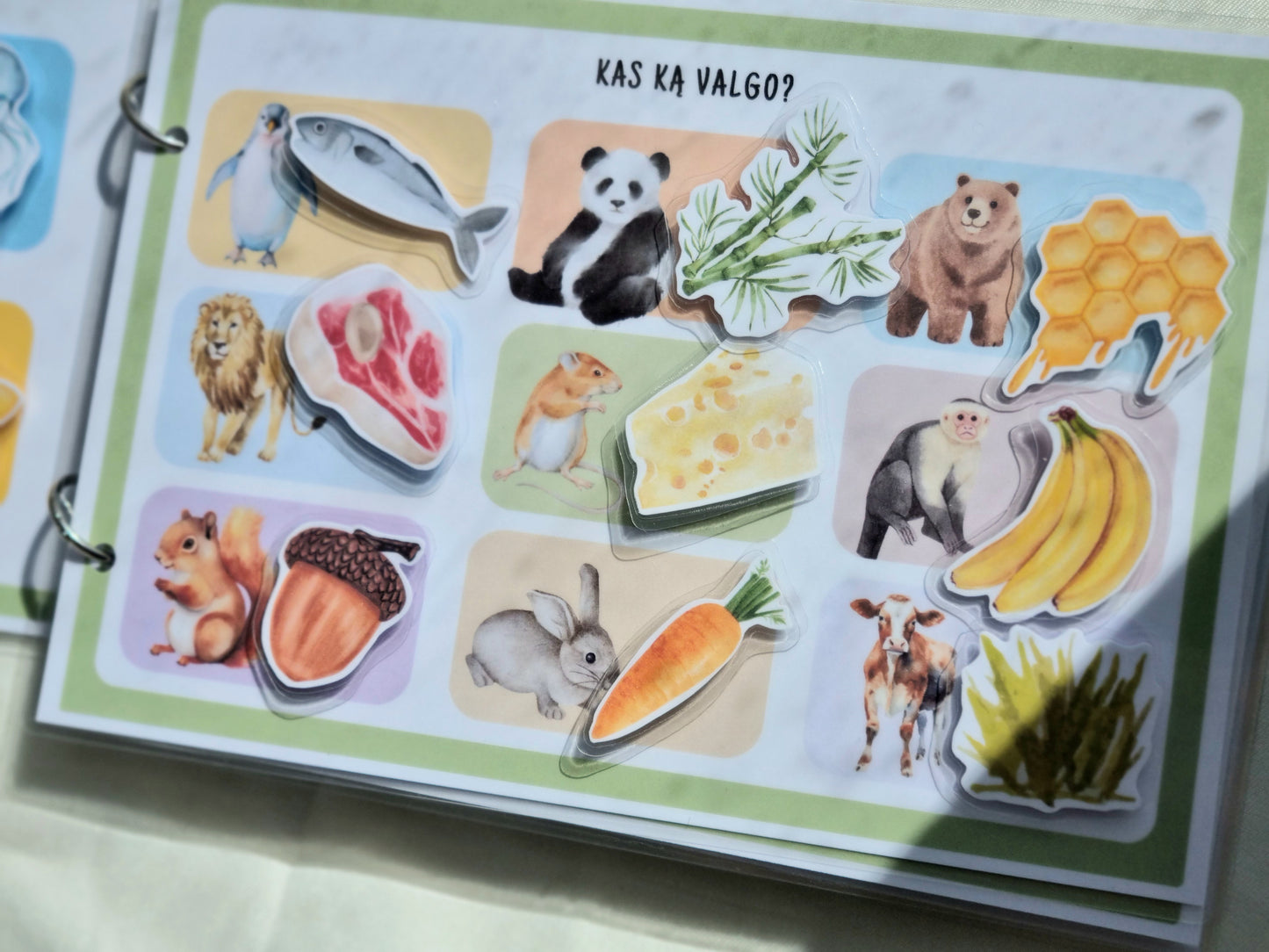 Smalsuolio užduočių knygelė