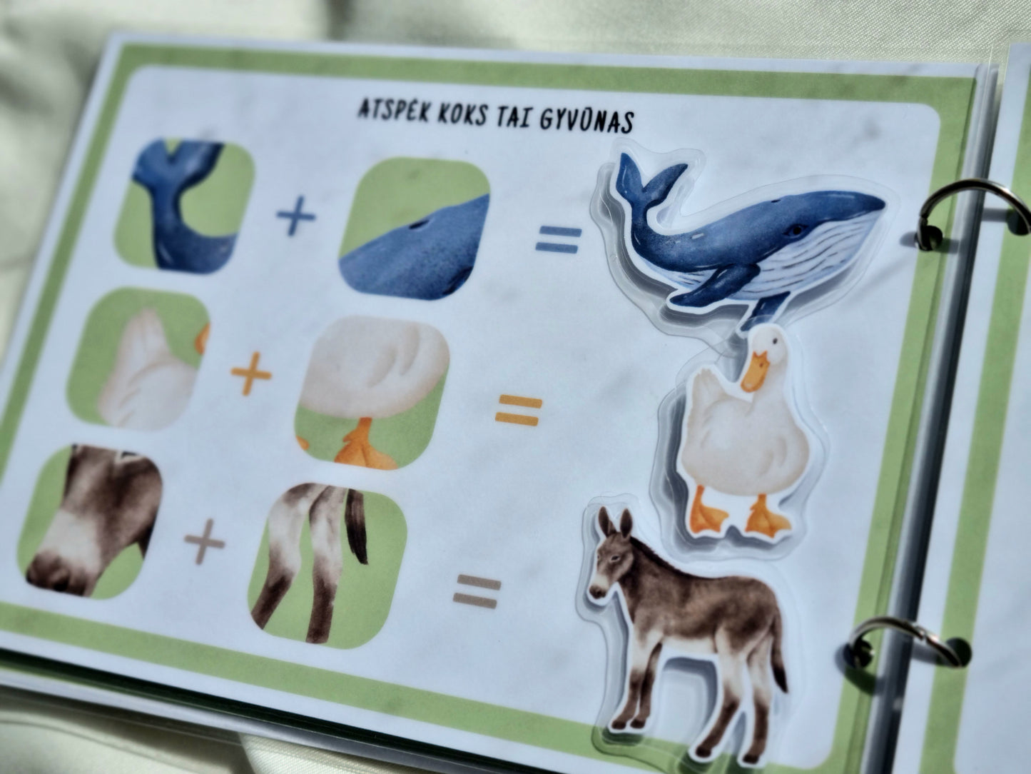 Smalsuolio užduočių knygelė