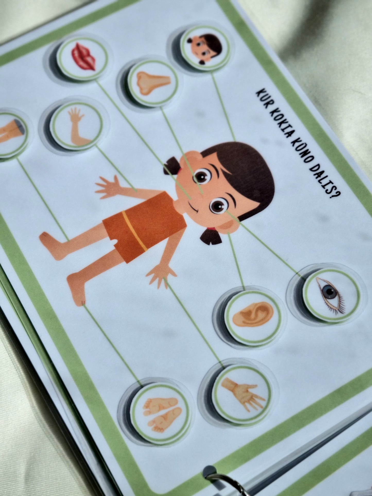 Smalsuolio užduočių knygelė