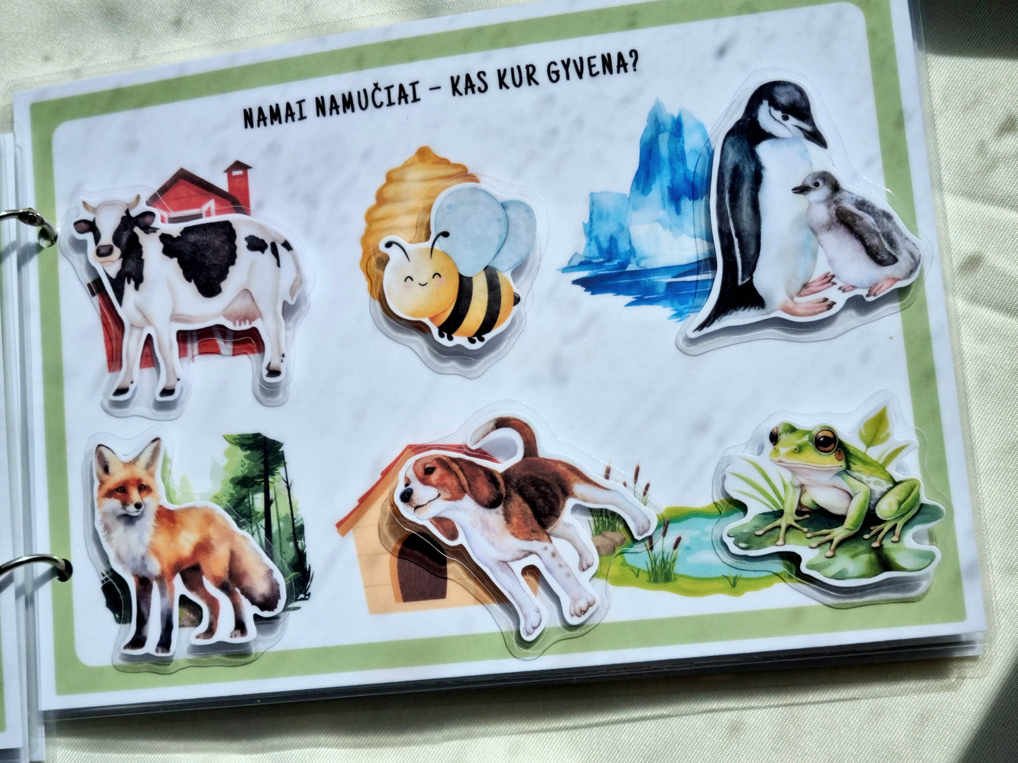 Smalsuolio užduočių knygelė