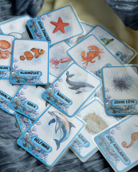 Jūros gyvūnų kortelės