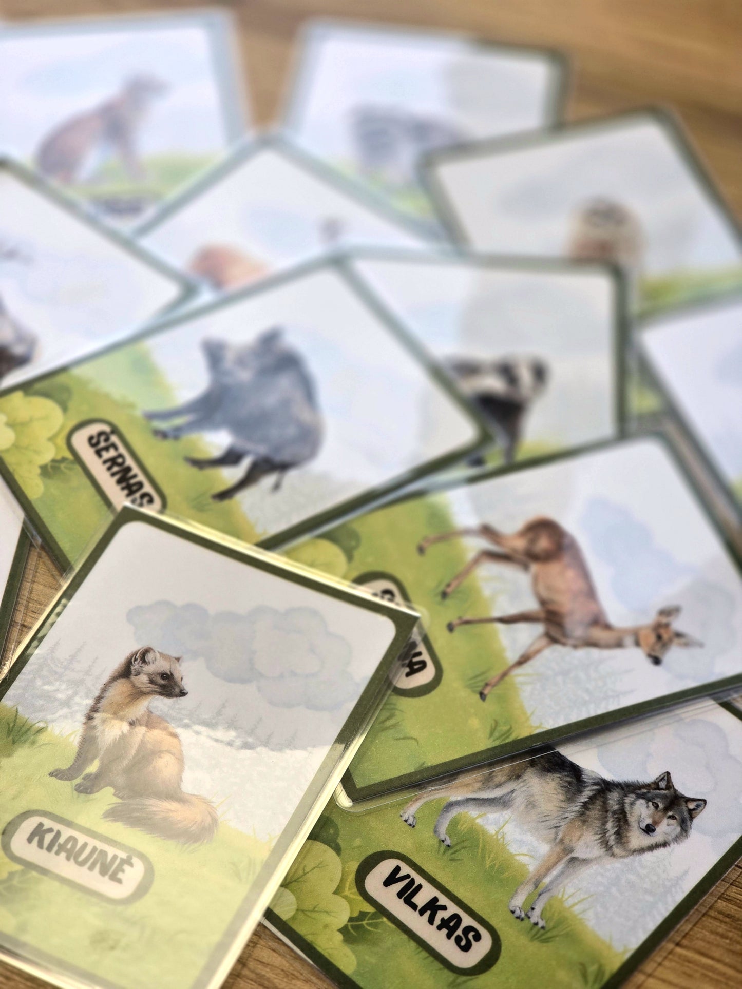 Miško gyvūnų kortelės