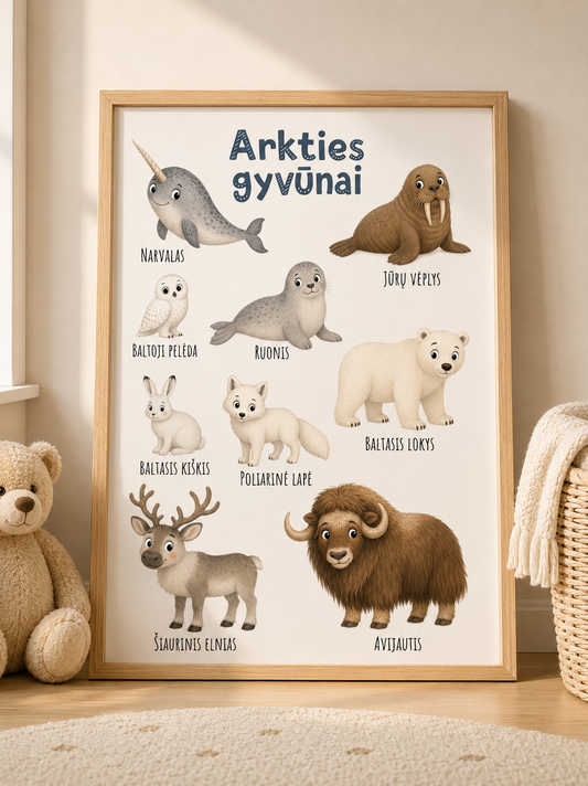 Plakatas "Arkties gyvūnai"