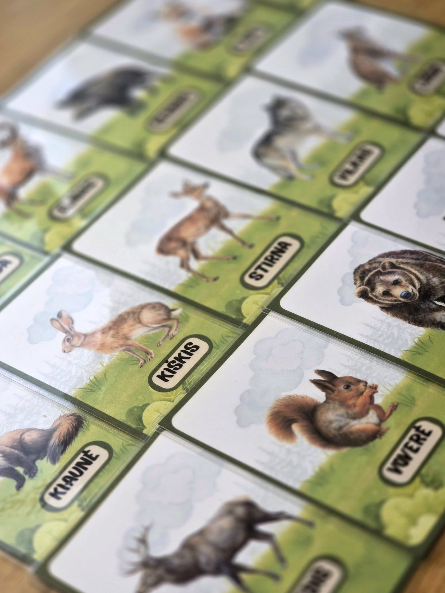 Miško gyvūnų kortelės