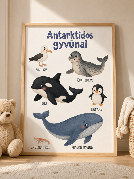 Plakatas "Antarktidos gyvūnai"