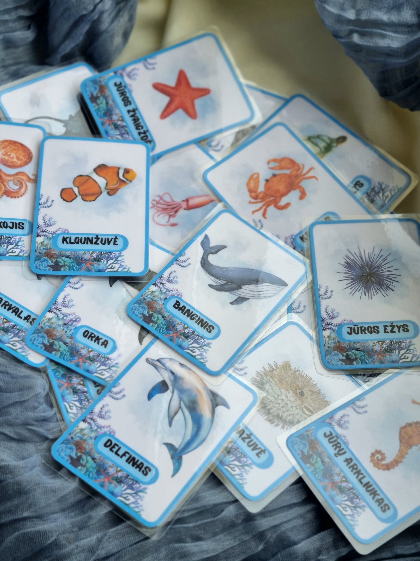 Jūros gyvūnų kortelės