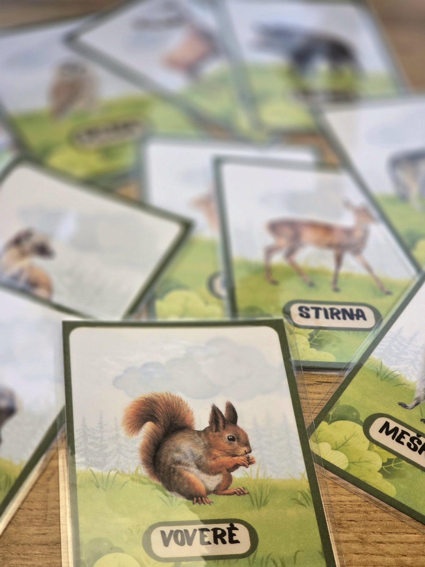 Miško gyvūnų kortelės