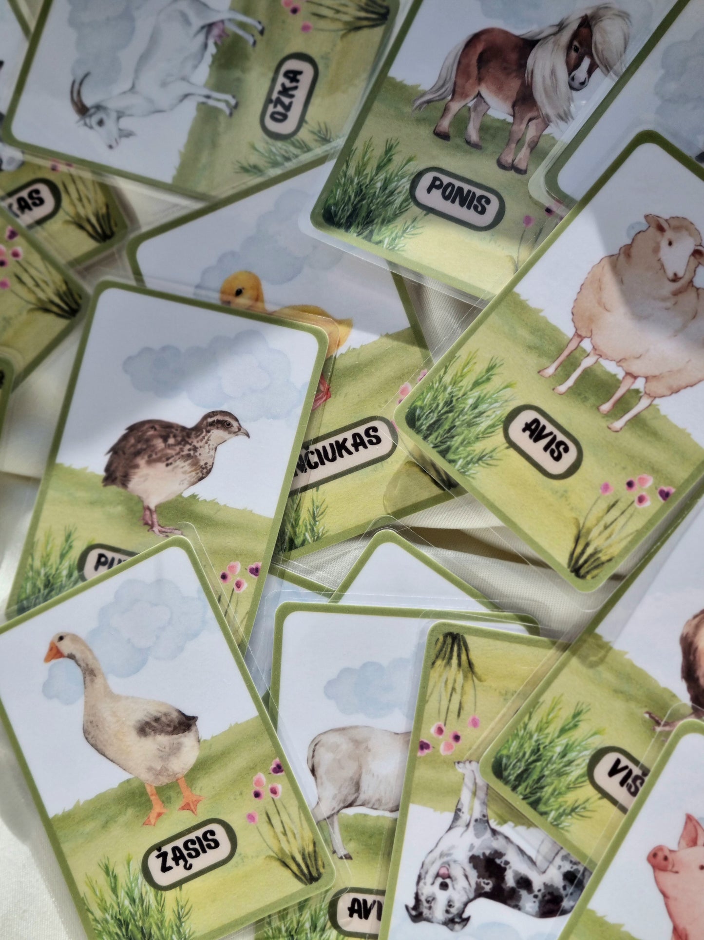 Ūkio gyvūnų kortelės