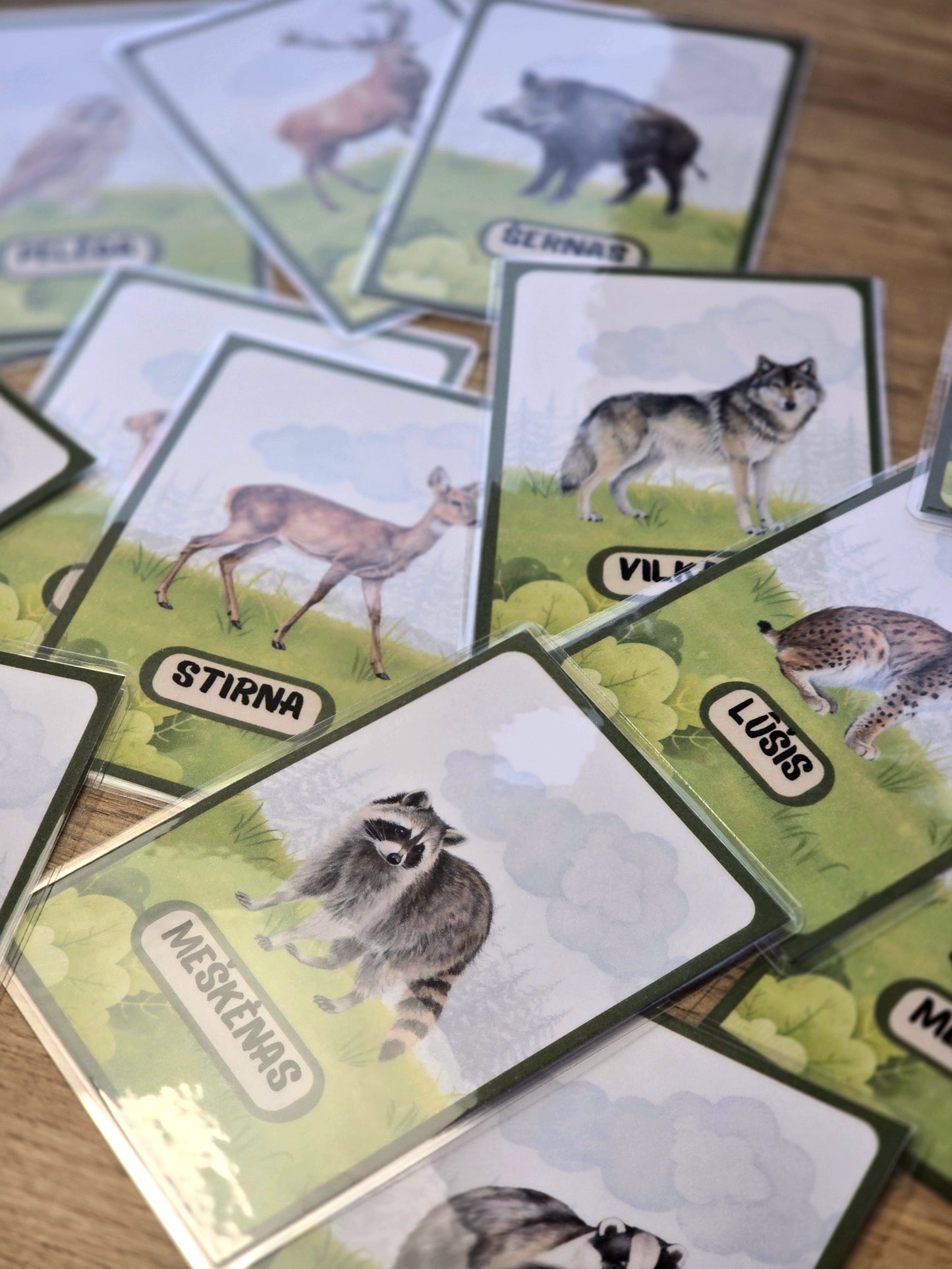 Miško gyvūnų kortelės
