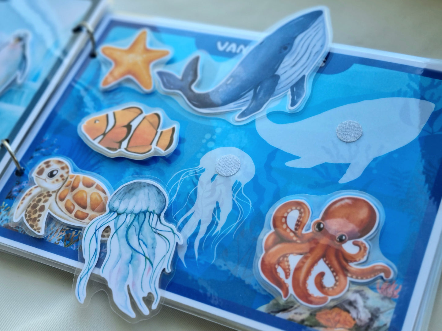 Pasaulio gyvūnų knygelė