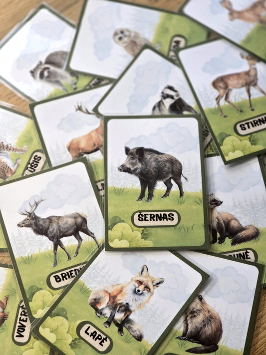 Miško gyvūnų kortelės